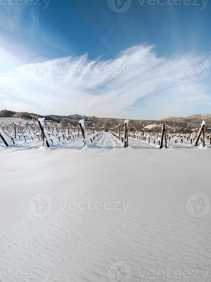 Elsässer Weinberge unter starkem Schneefall an einem sonnigen Wintertag. Details und Draufsicht. foto