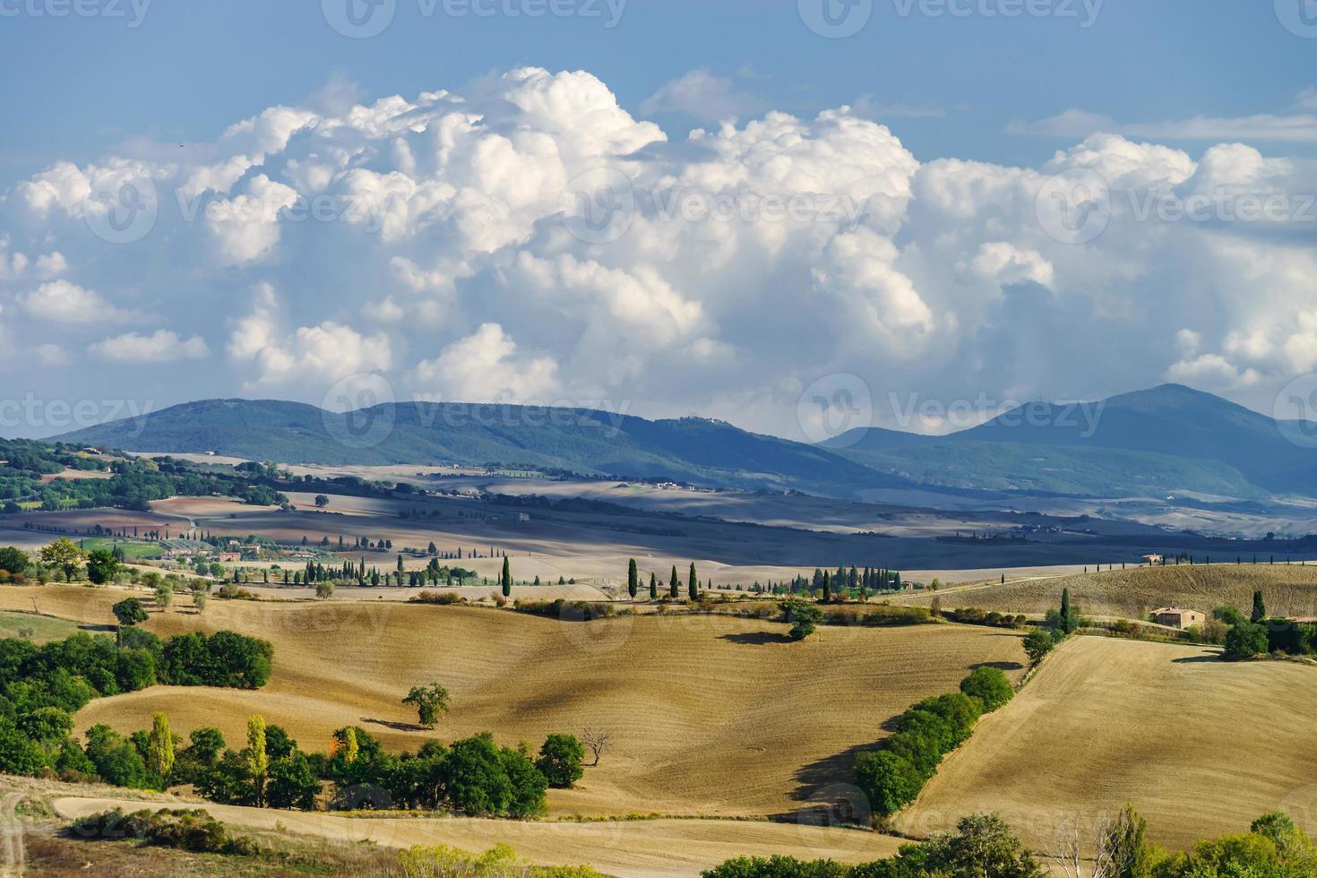 Herbst in Italien. gelbe gepflügte hügel der toskana mit interessanten schatten und linien foto