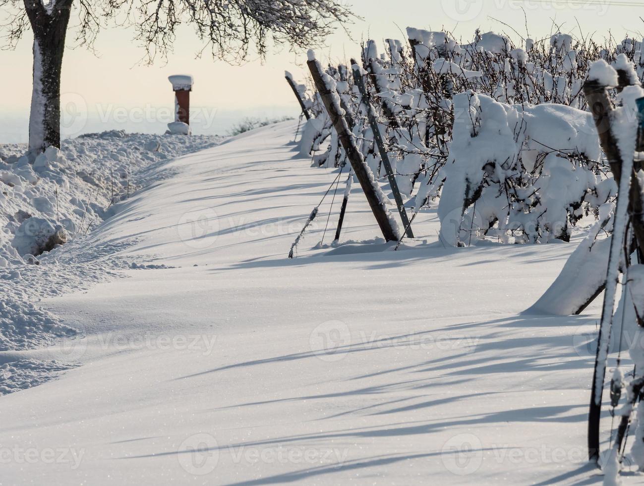 Elsässer Weinberge unter starkem Schneefall an einem sonnigen Wintertag. Details und Draufsicht. foto