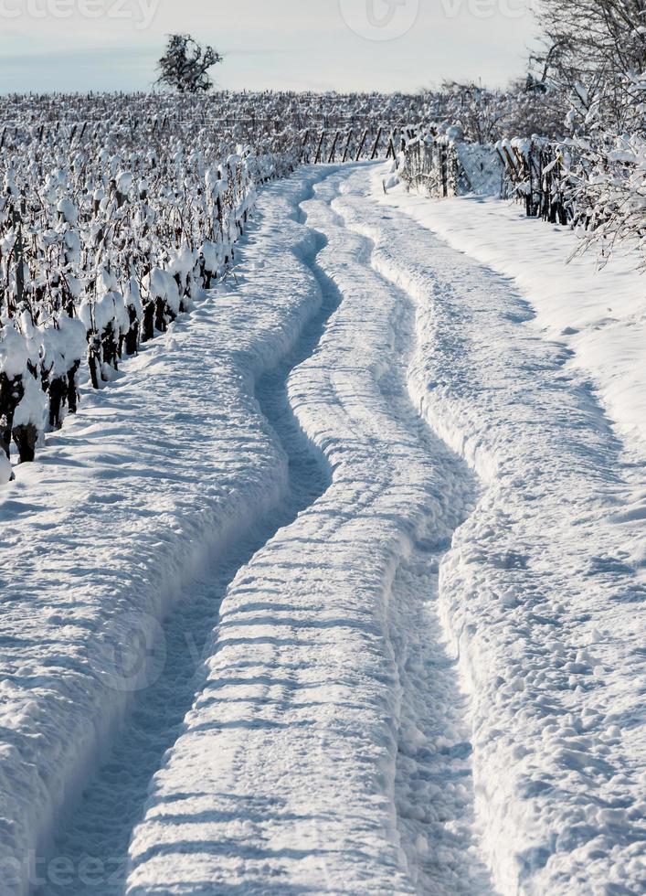 verschneite Straße in den Feldern des Elsass. sonniger Wintertag. foto