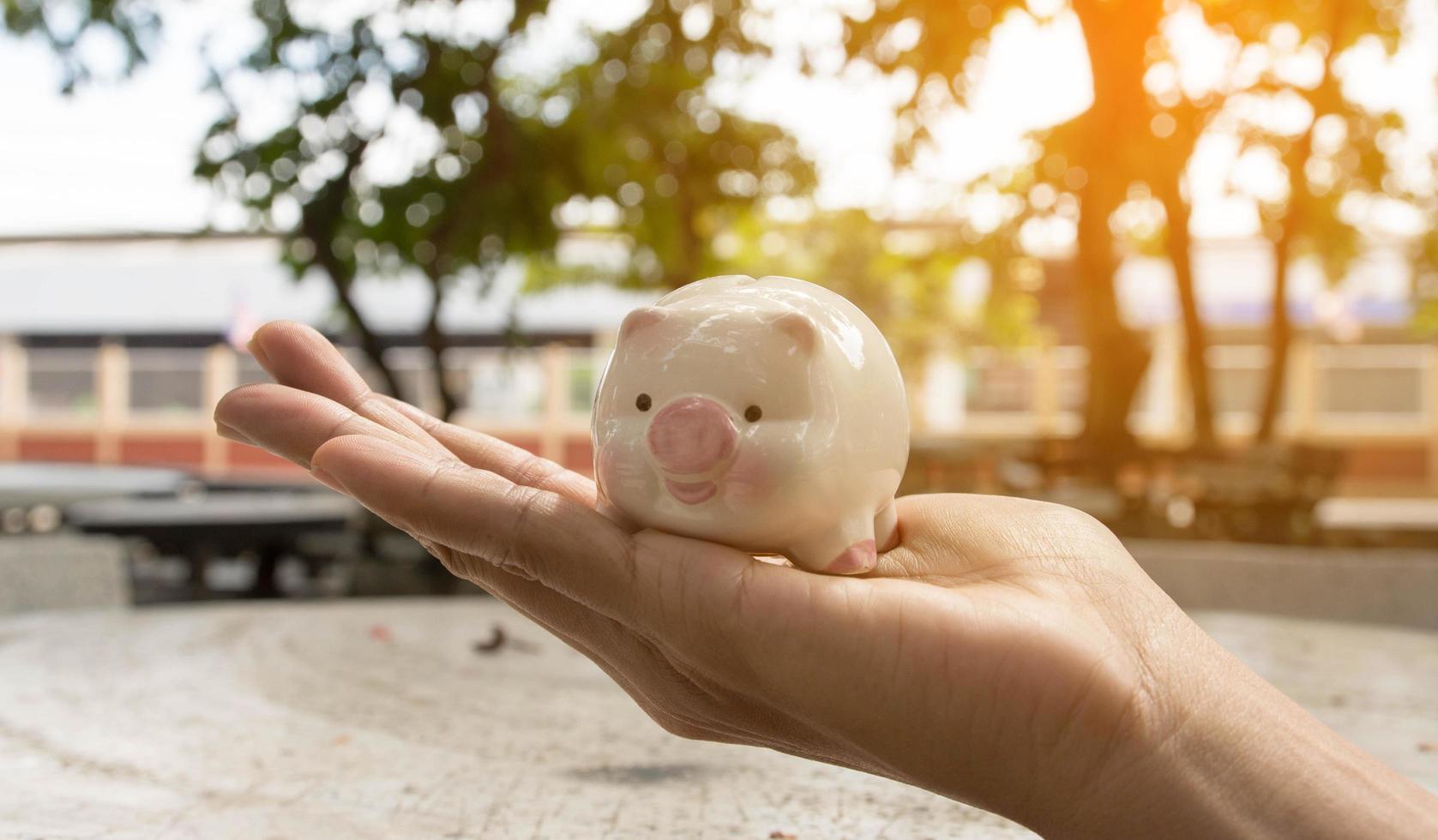 Sparschwein Geld sparen, Geld sparen Konzept, Sparschwein und Geldstapel sicher foto