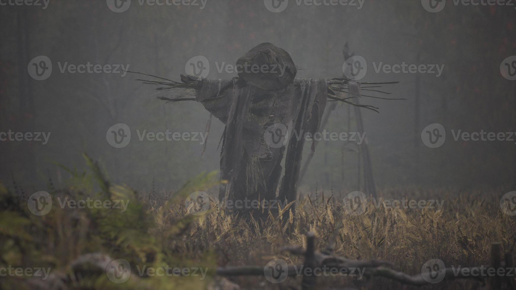schreckliche vogelscheuche in dunklem mantel und schmutzigem hut steht allein im herbstfeld foto
