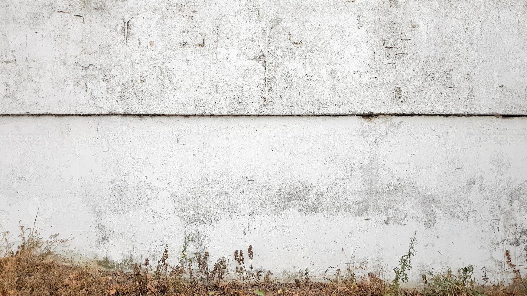 grünes Gras auf grauem Betonwandhintergrund, unebene Wandoberfläche und Gras, Hintergrundbild. graue betonwand mit grasbodenbeschaffenheit für die hintergrundgestaltung. foto