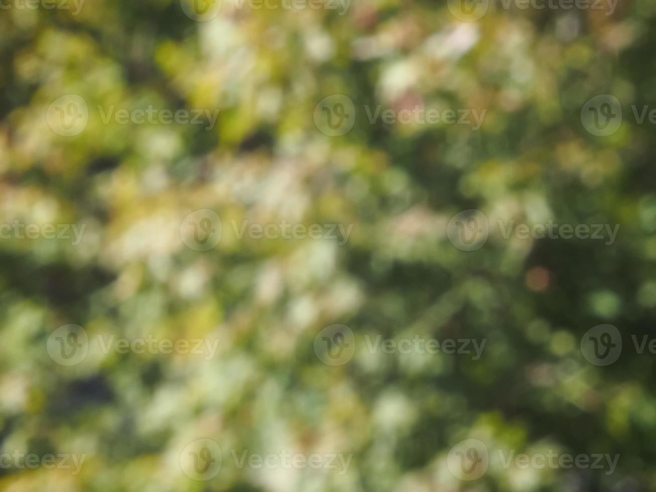 abstrakter grüner Unschärfehintergrund foto