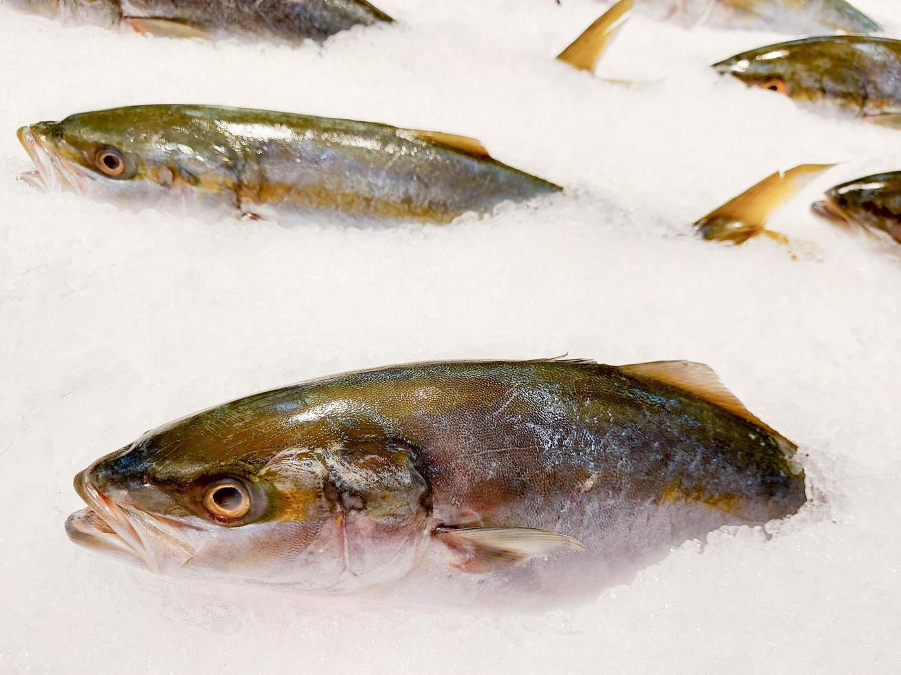 Fisch auf Eis auf dem Markt, frische Meeresfrüchte aus rohem Fisch. foto