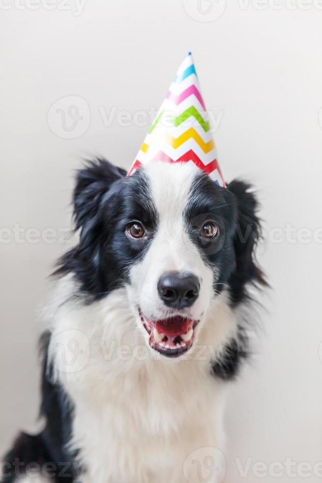 Lustiges Porträt eines süßen, lächelnden Welpenhundes Border Collie mit dummem Geburtstagshut, der isoliert auf weißem Hintergrund in die Kamera schaut. alles gute zum geburtstag partykonzept. lustige haustiere tiere leben. foto