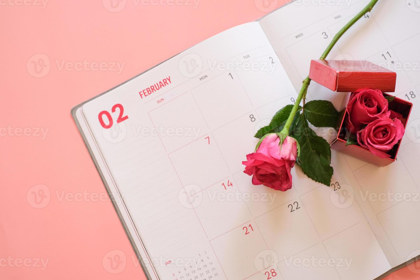 Rosa Rose und rote Geschenkbox auf Kalenderbuch isoliert auf rosa Hintergrund mit Copyspace für Text. Valentinstag-Konzept. planung terminplaner, veranstaltung, organisator valentinstag. foto