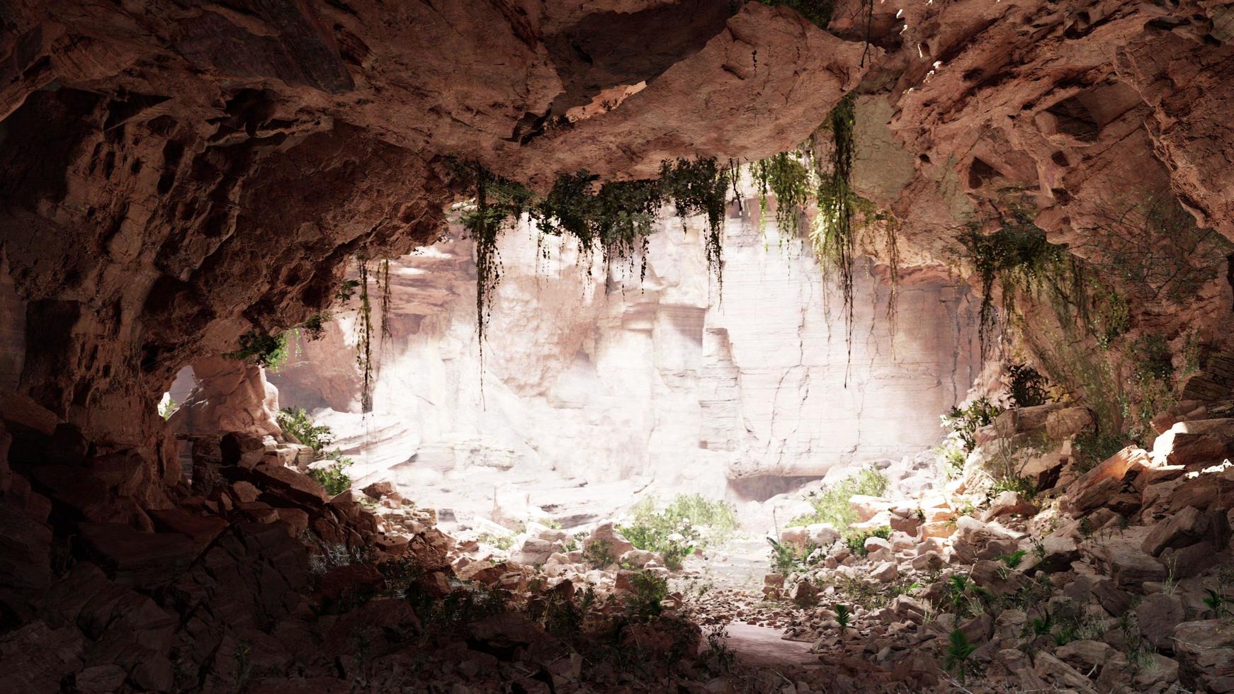 in einer Kalksteinhöhle mit Pflanzen und Sonnenschein foto