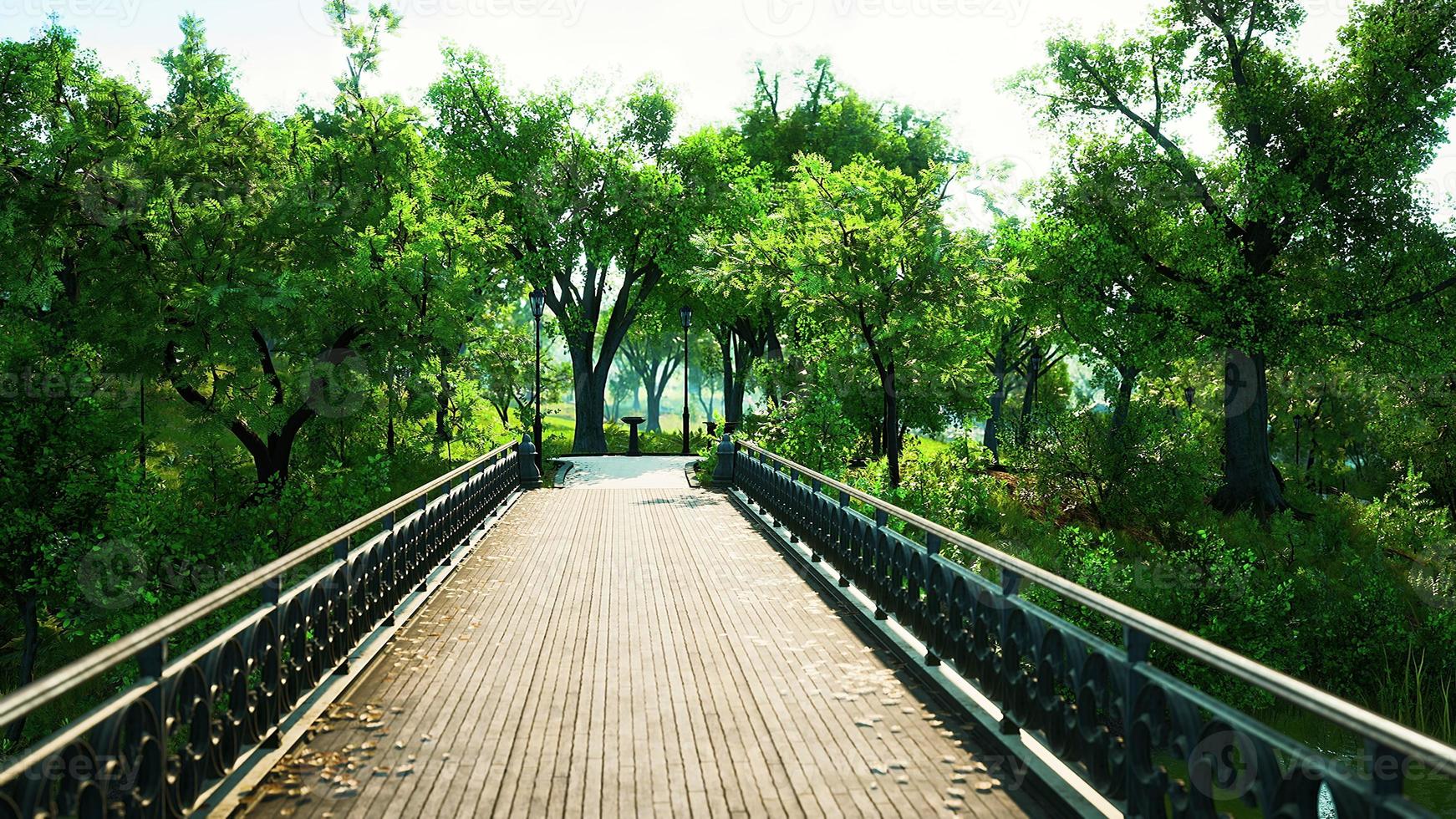 8k alte Brücke im Park im Sommer foto