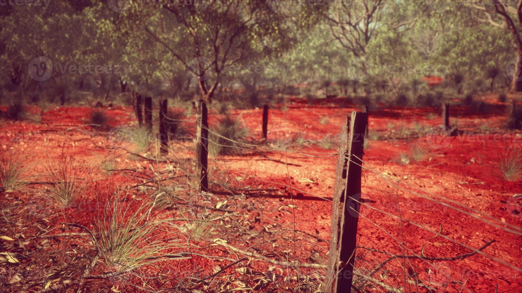 Dingozaun im australischen Outback foto