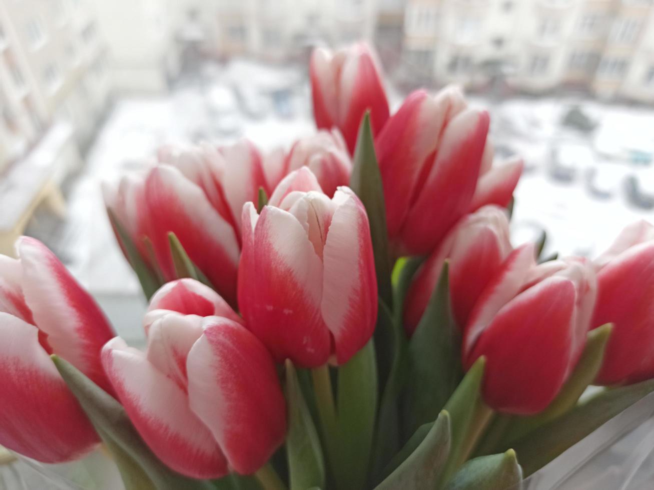 hintergrund für den internationalen frauentag. Blumenstrauß aus rosa Tulpen foto