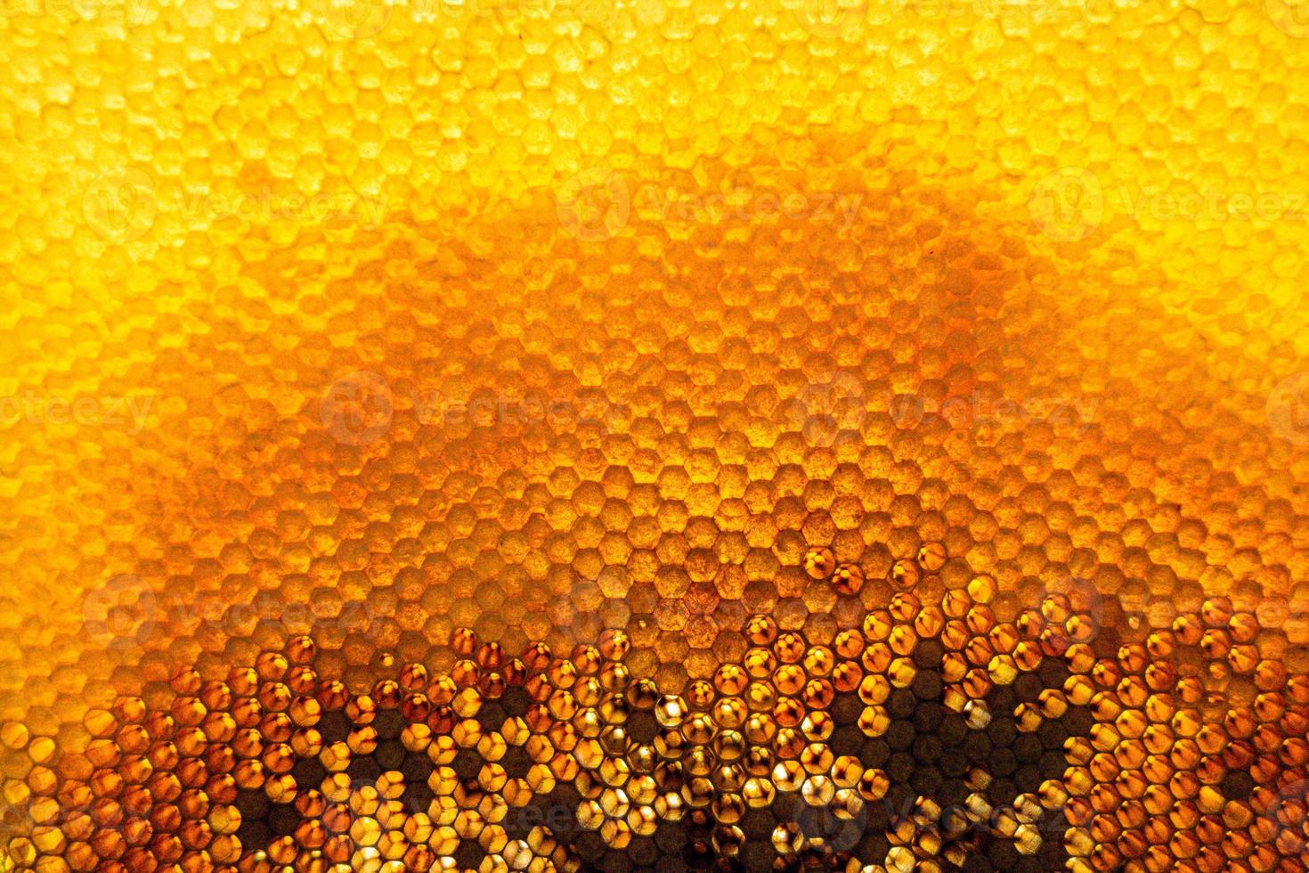 Bienenwabe aus Bienenstock gefüllt mit goldenem Honig foto