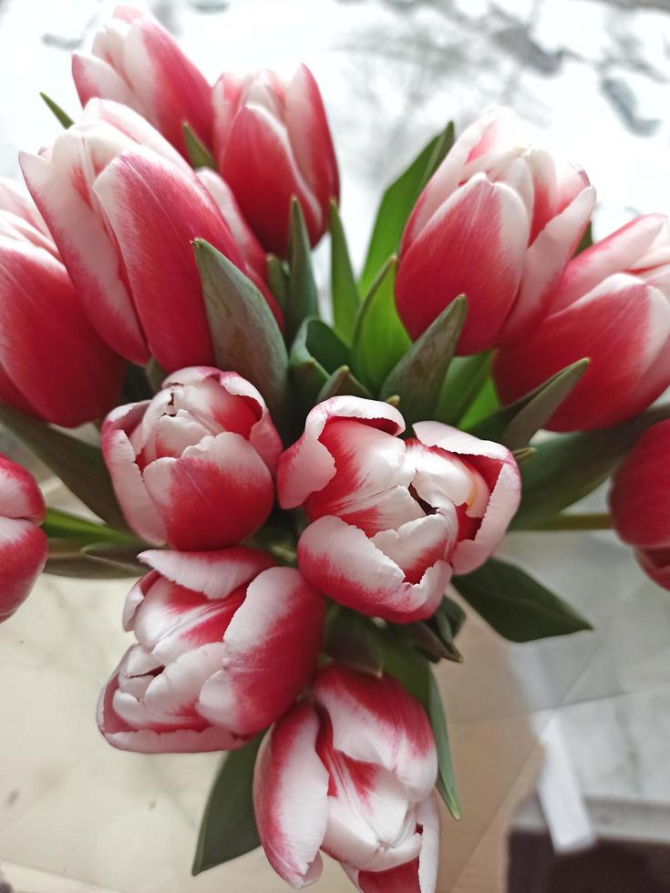 hintergrund für den internationalen frauentag. Blumenstrauß aus rosa Tulpen foto