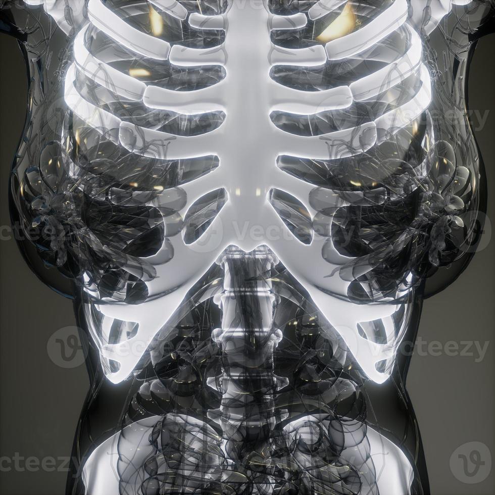 transparenter menschlicher Körper mit sichtbaren Knochen foto