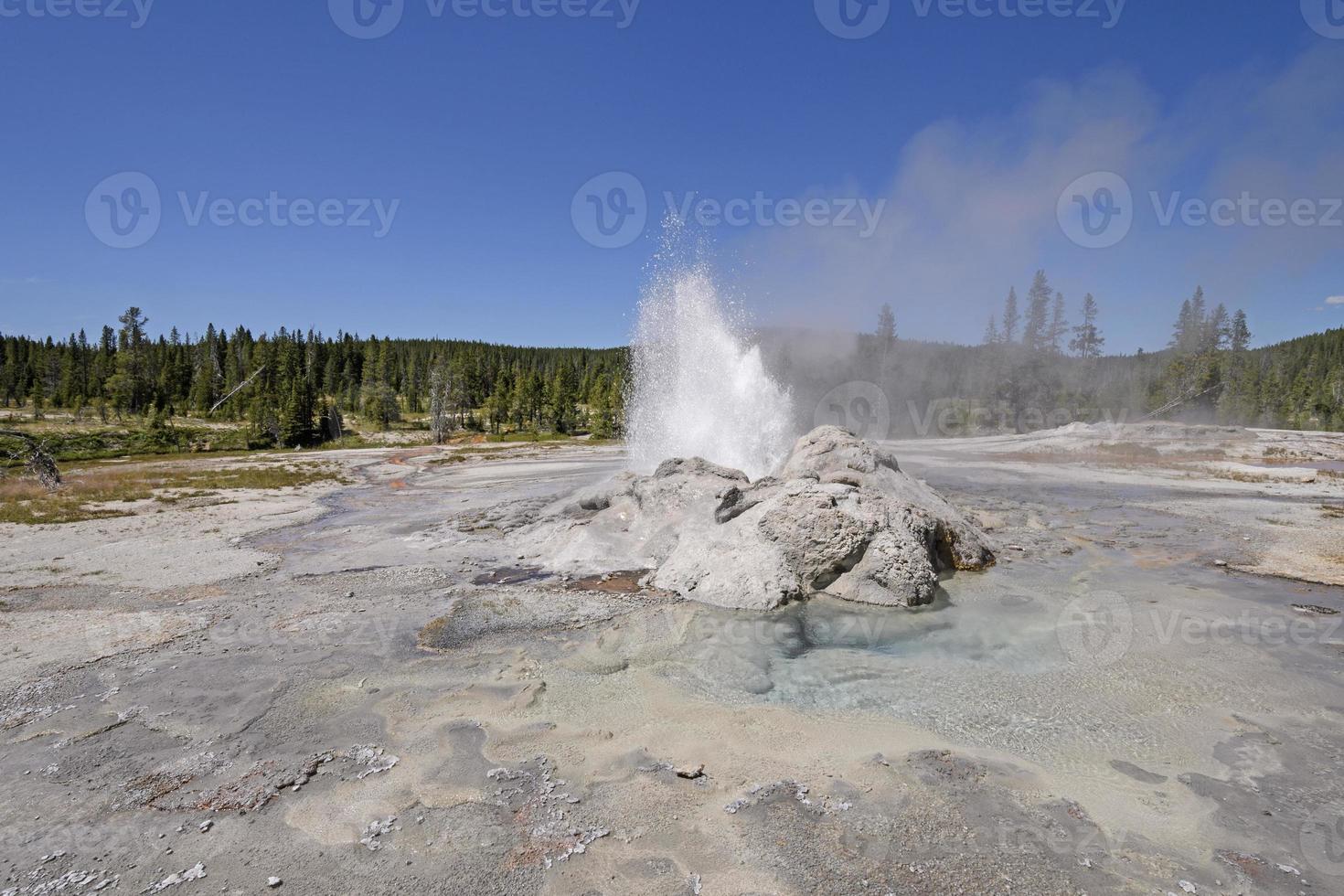 ausbrechendes Geysir-Panorama foto