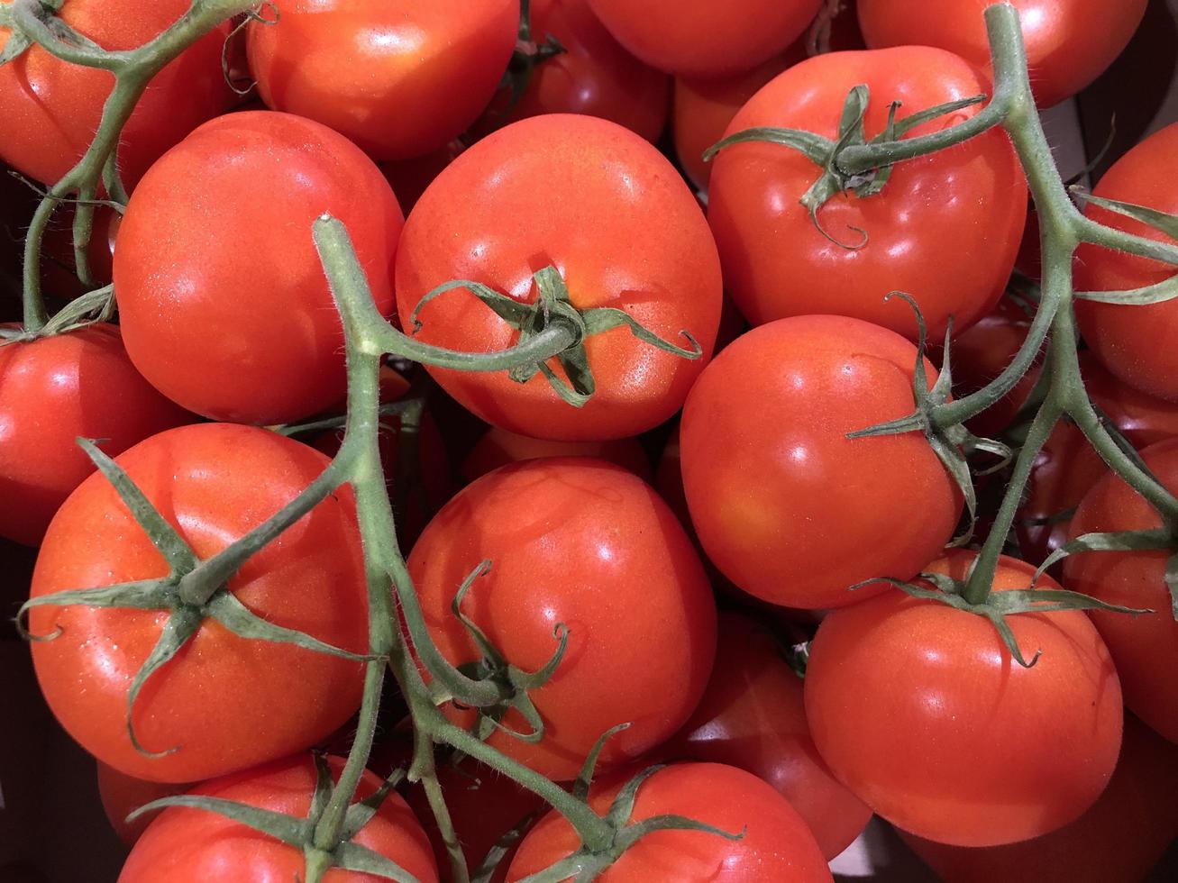 Makrofoto rote Kirschtomaten. stock photo Gemüse rote Tomaten Hintergrund foto