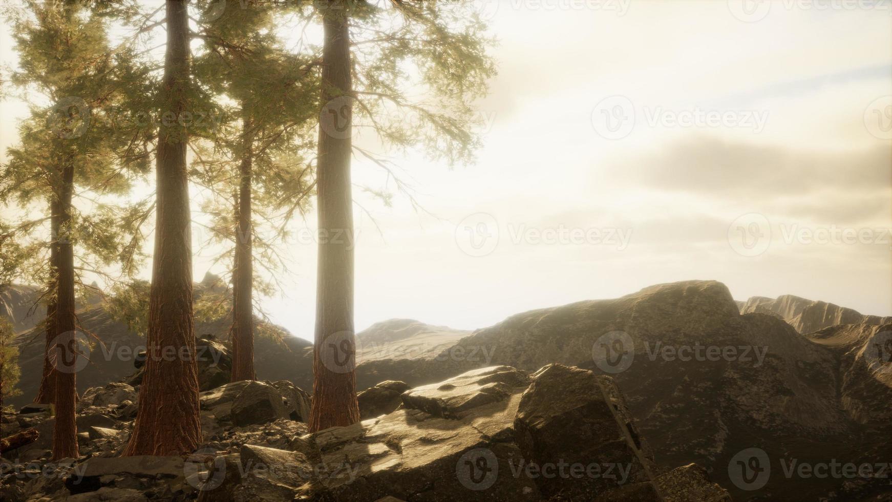 Klippe mit Bäumen und Licht der Sonne foto
