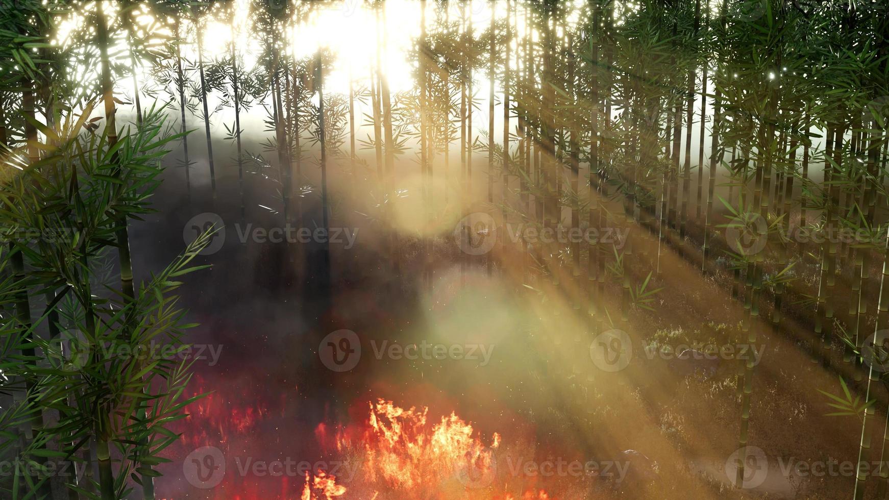 Wind weht während eines Waldbrandes auf einem brennenden Bambus foto