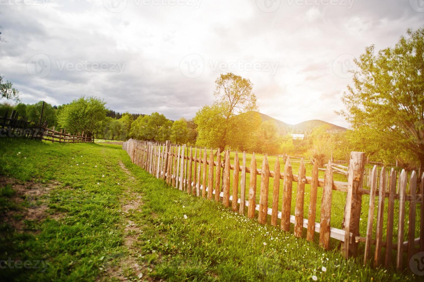 Holzzaun auf sonniger Wiese foto