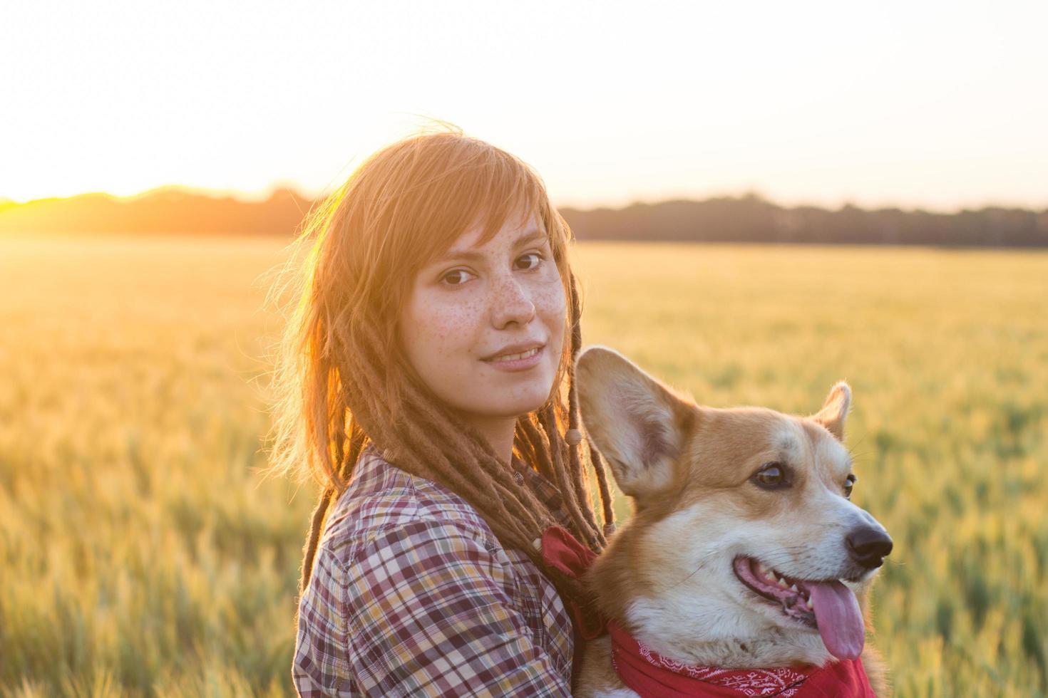 Junge glückliche Frau mit Dreadlocks spielt mit Corgi-Hund auf sommerlichen Weizenfeldern foto