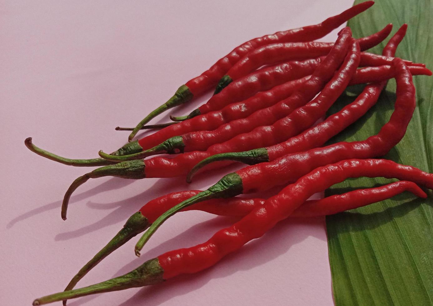 großer roter Chili und lockiger roter Chili. mit rosa Hintergrund foto