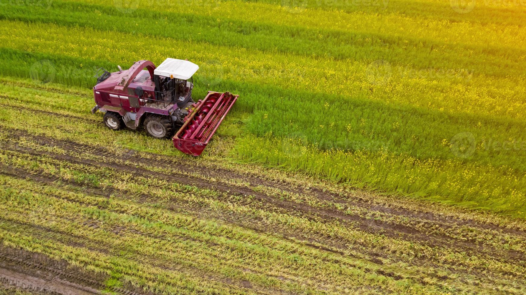 Roter Mähdrescher schüttelt das grüne Feld Luftbild foto