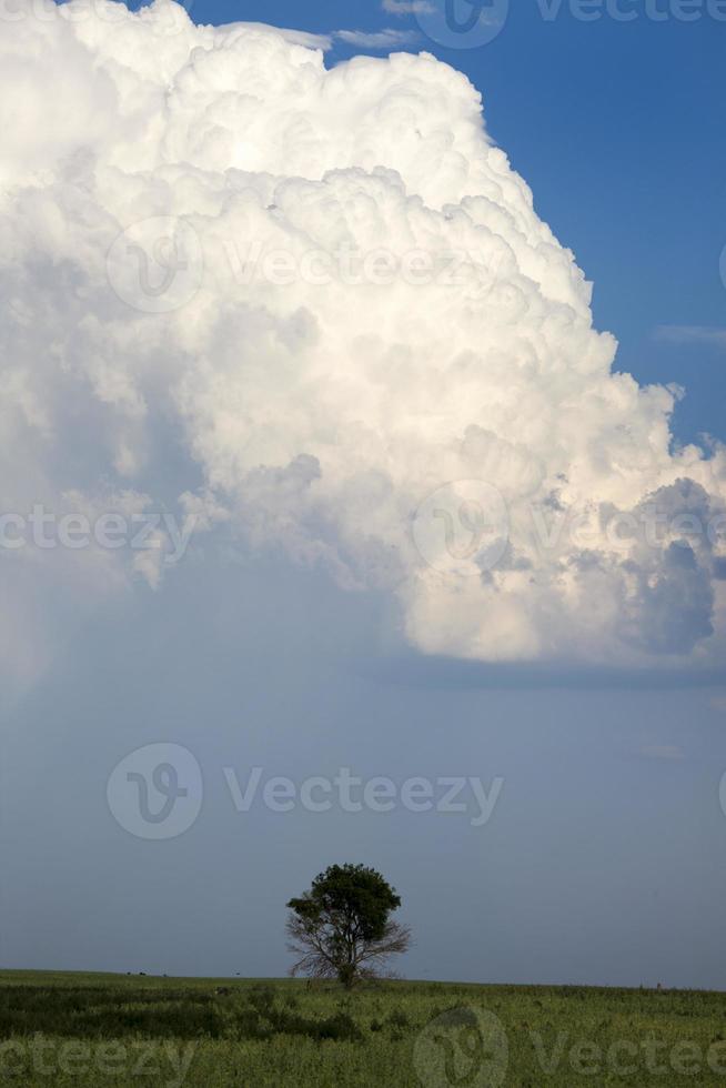 Gewitterwolken Kanada foto