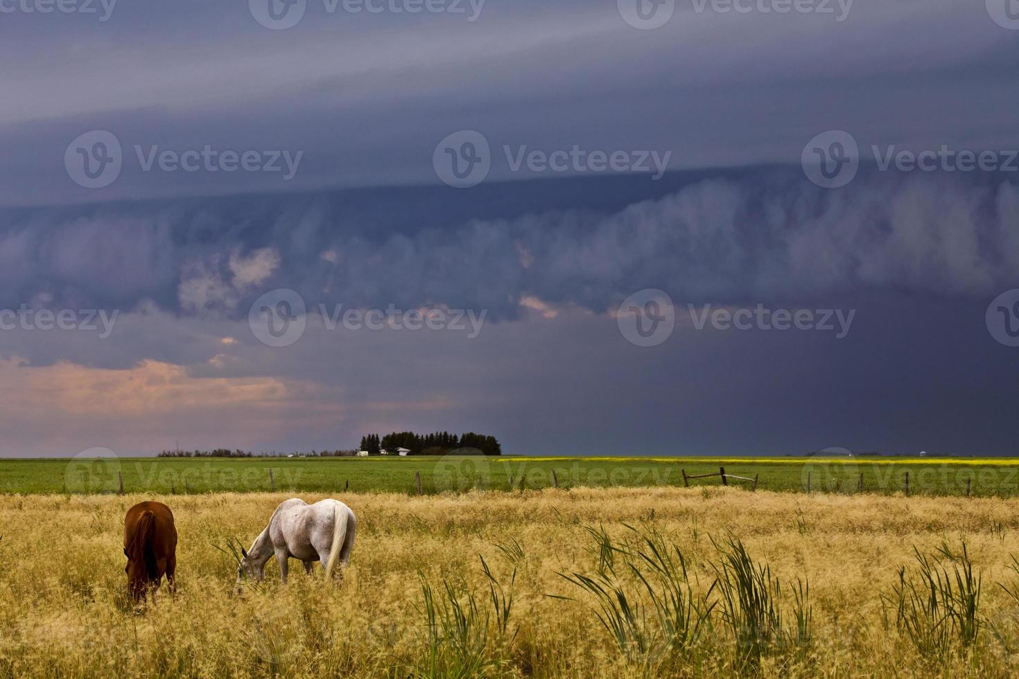 Präriesturmwolken foto