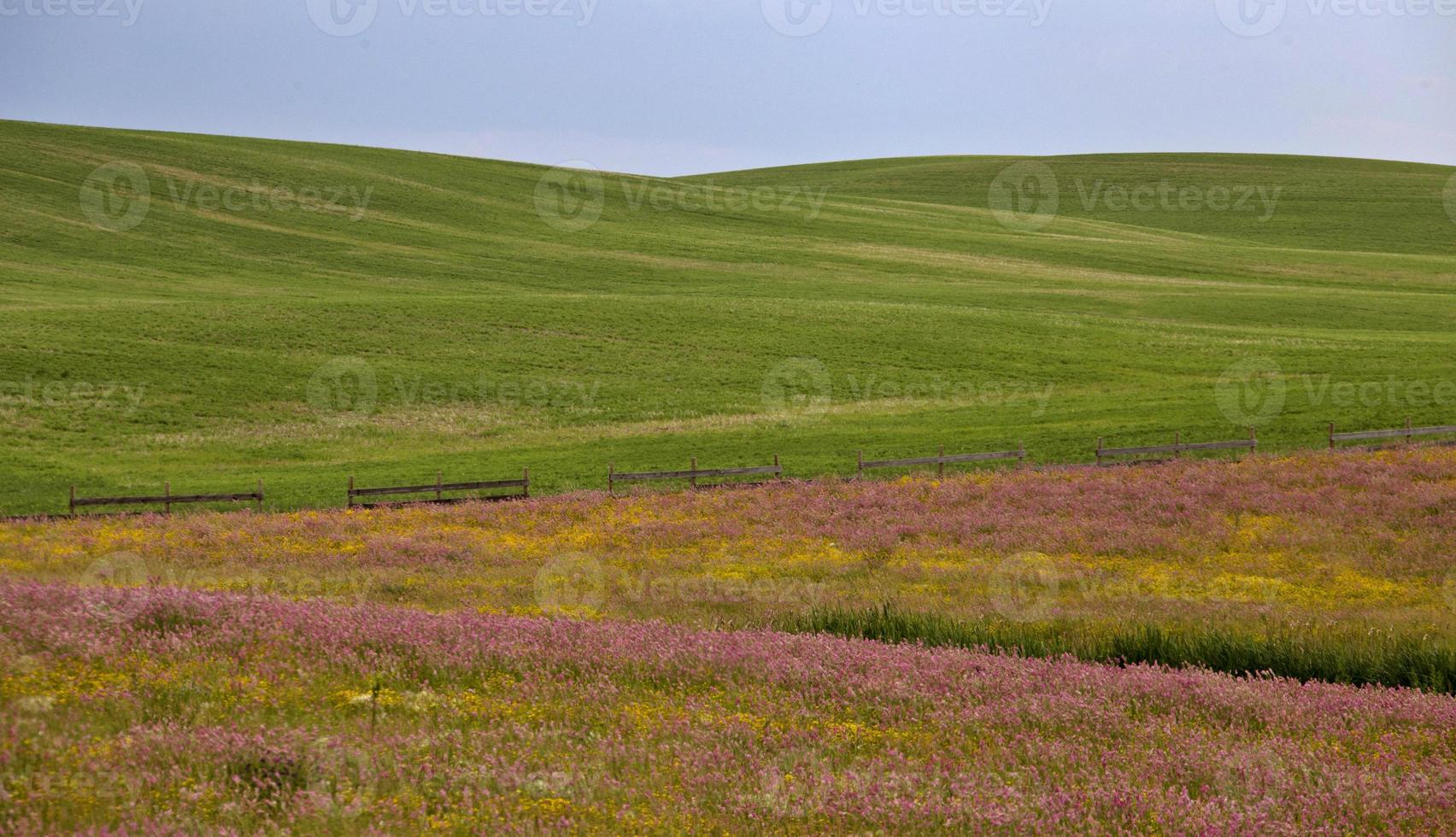 Präriegewitterwolken Kanada foto