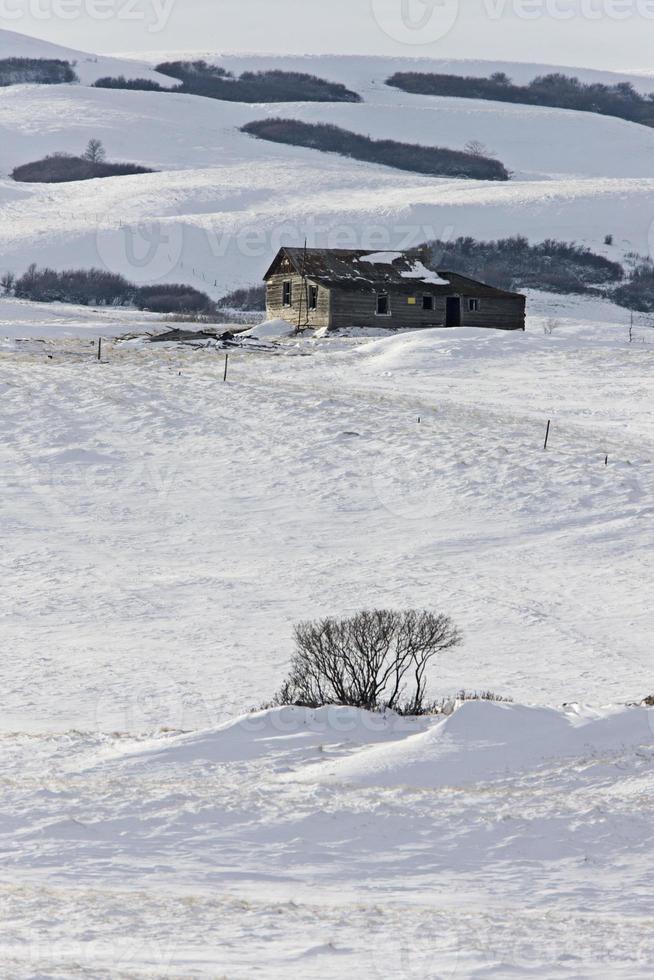 Winterlandschaft Prärie foto