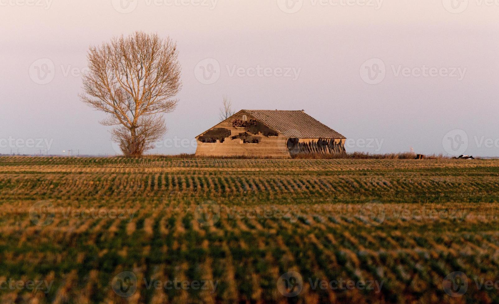 Verlassene Gebäude Saskatchewan foto