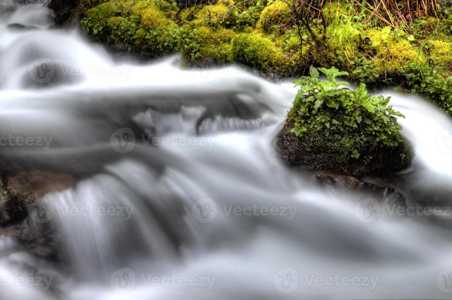 Columbia River Gorge Oregon foto