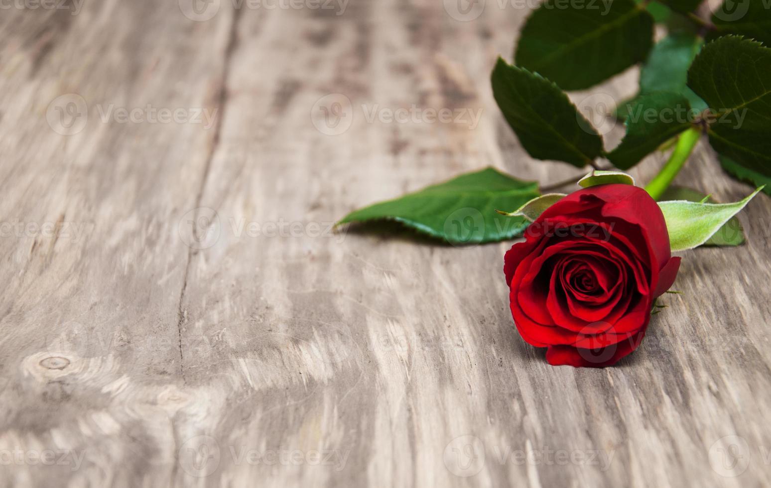 rote Rosen auf dem Tisch foto