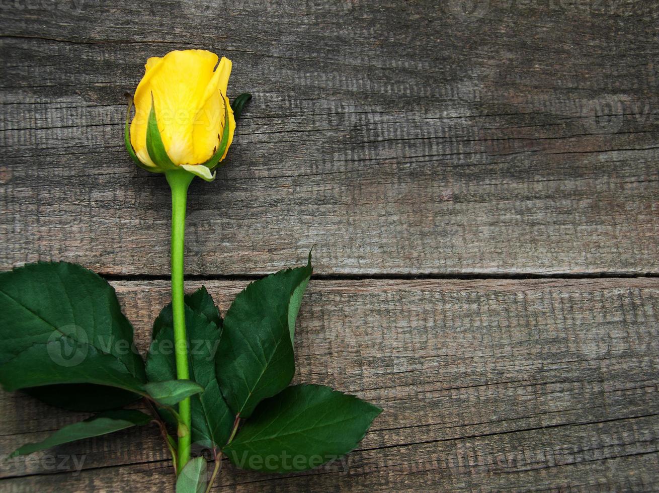 gelbe Rose auf einem Tisch foto