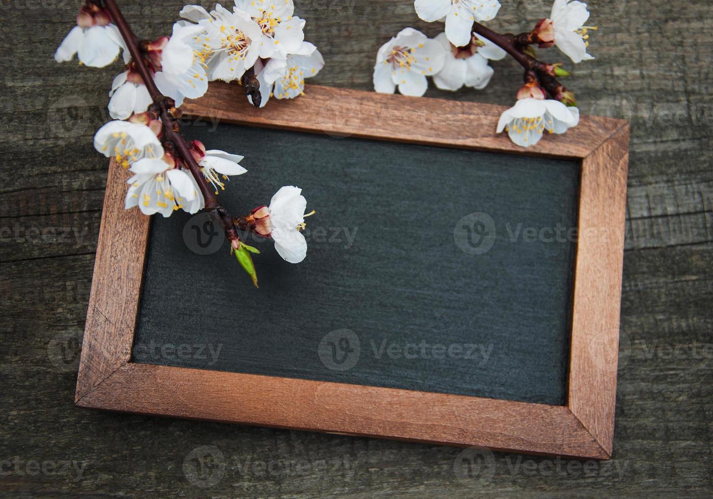 Frühlings-Aprikosenblüte und Tafel foto