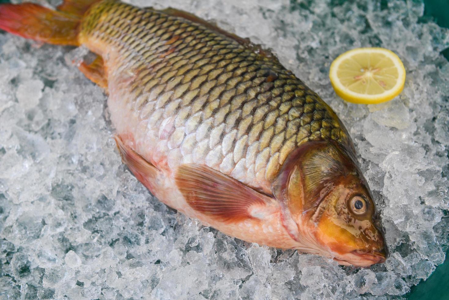 Karpfen-Süßwasserfischmarkt, Karpfenfisch, frischer roher Fisch auf Eis für gekochte Speisen mit Zitronenhintergrund foto