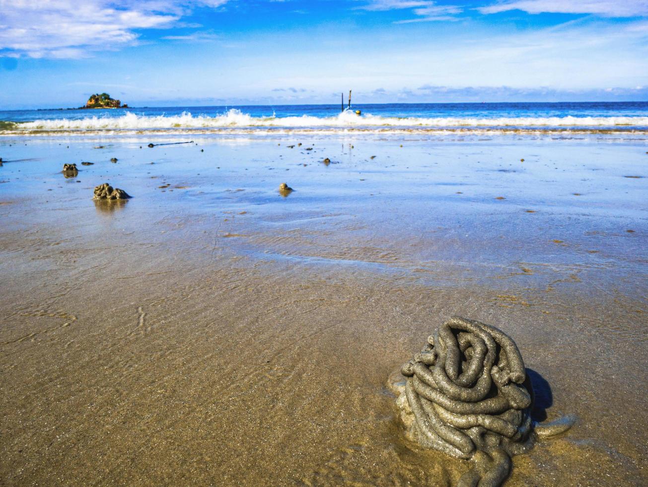 Nahaufnahme von Wattwurmabgüssen mit idyllischem Ozean und endlosem Horizont am Strand, Sommerkonzept foto