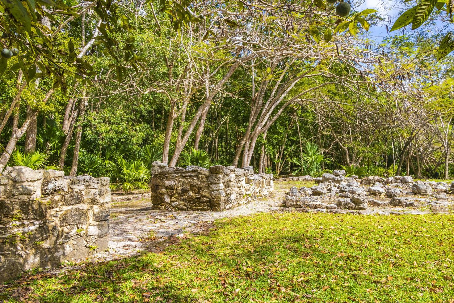 alte Maya-Stätte mit Tempelruinen Pyramidenartefakten Muyil Mexiko. foto