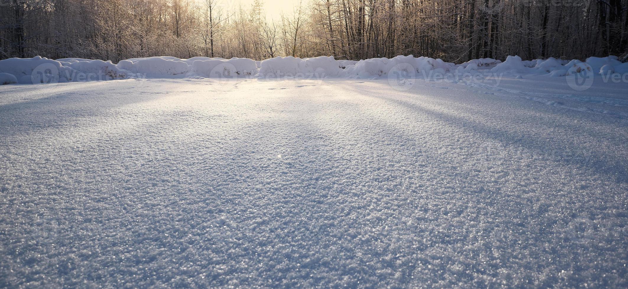 Textur aus weißem Schnee, der in der Sonne vor dem Hintergrund von Bäumen und Himmel funkelt. foto