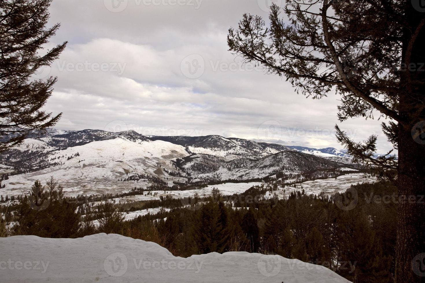 Yellowstone Park Wyoming Winterschnee foto