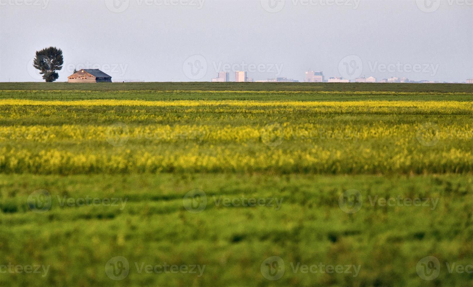 verlassenes Wirtschaftsgebäude foto