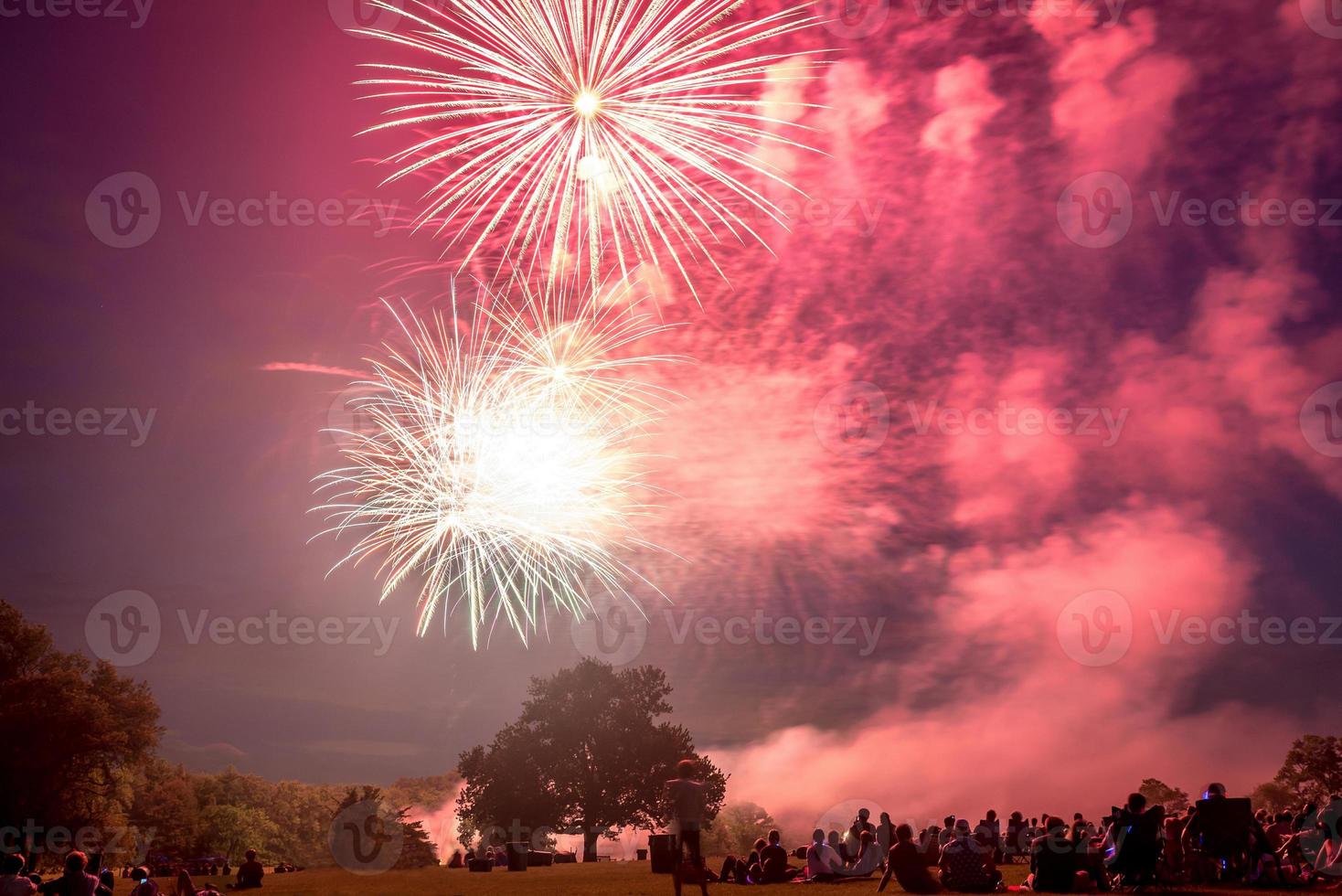 leute, die zu ehren des unabhängigkeitstags ein feuerwerk betrachten foto