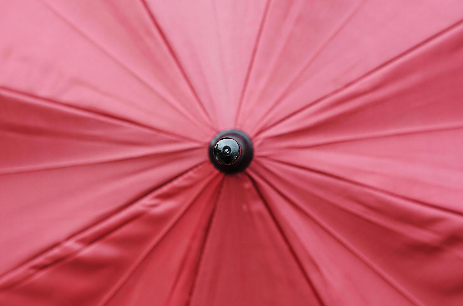 verschwommen rosa Regenschirm abstrakte Hintergründe Texturen foto