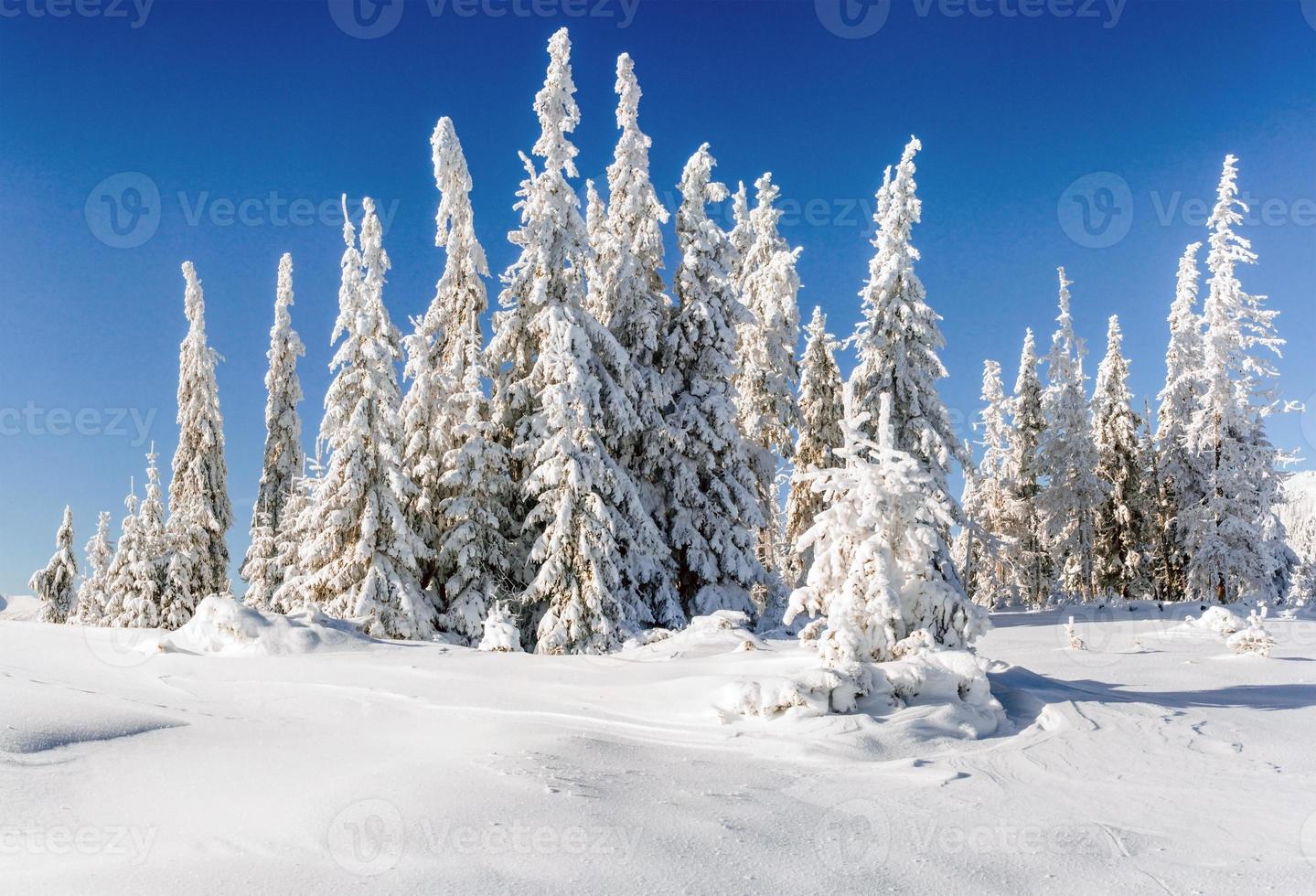 sternenhimmel in der verschneiten winternacht. fantastische Milchstraße im Neuen foto