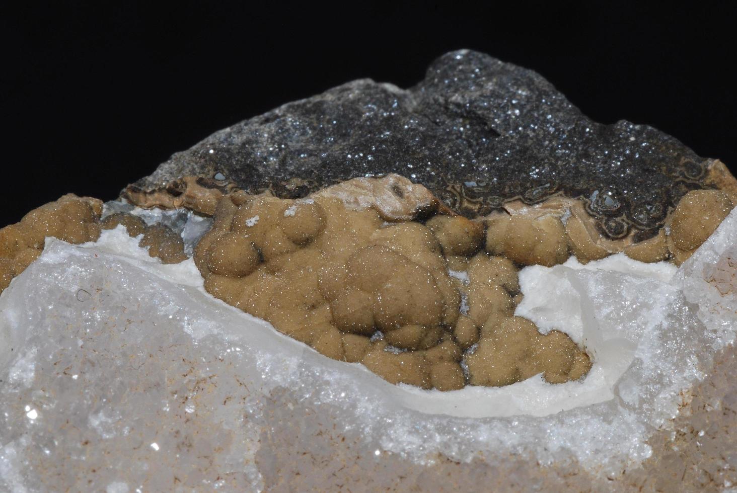 Mineralienstein gefundenes Stück Quarzgestein mit braunen Kugeln foto
