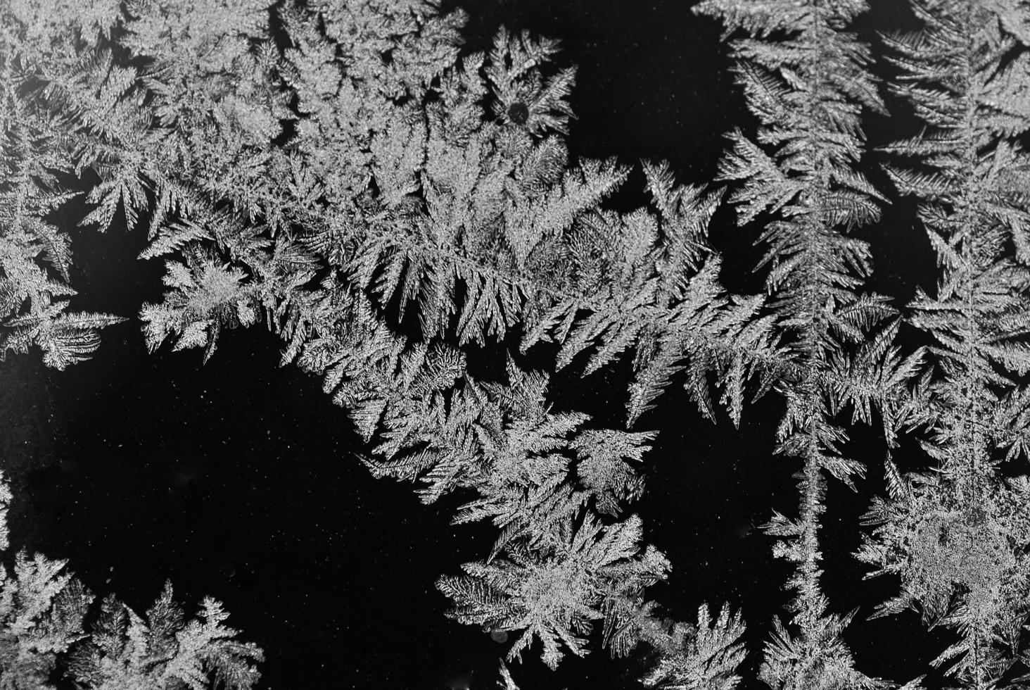 Eiskristalle auf schwarz foto