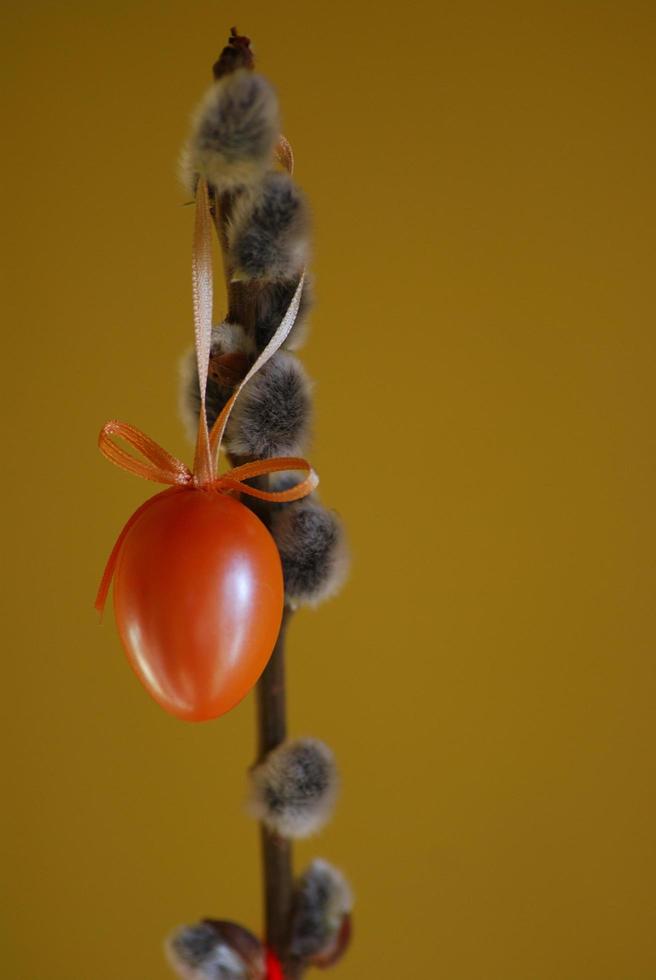 orangefarbenes Osterei foto