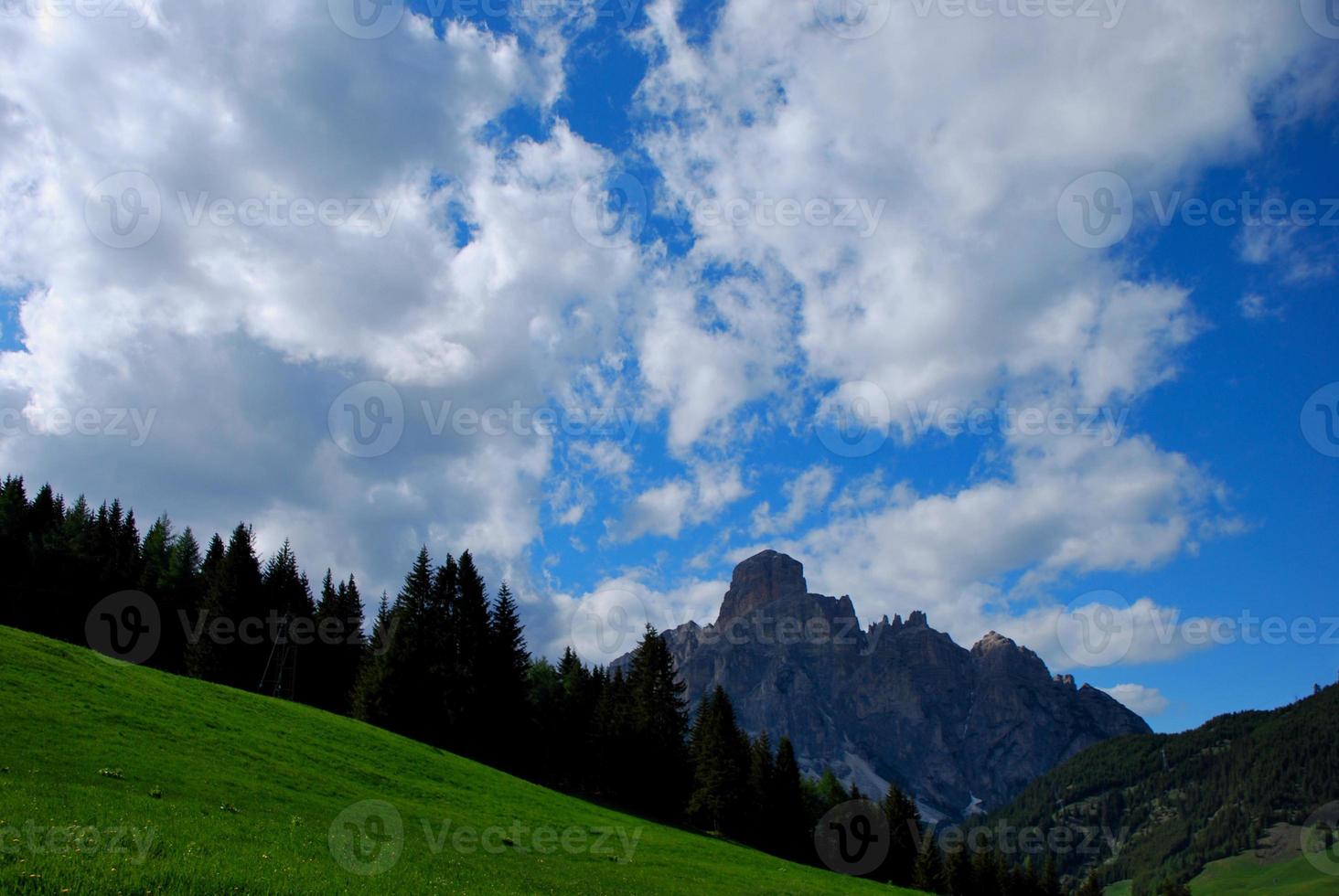 Berg und Gras foto