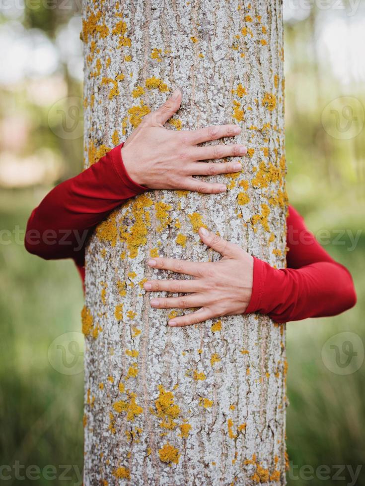 hände einer frau, die einen baum umarmt foto