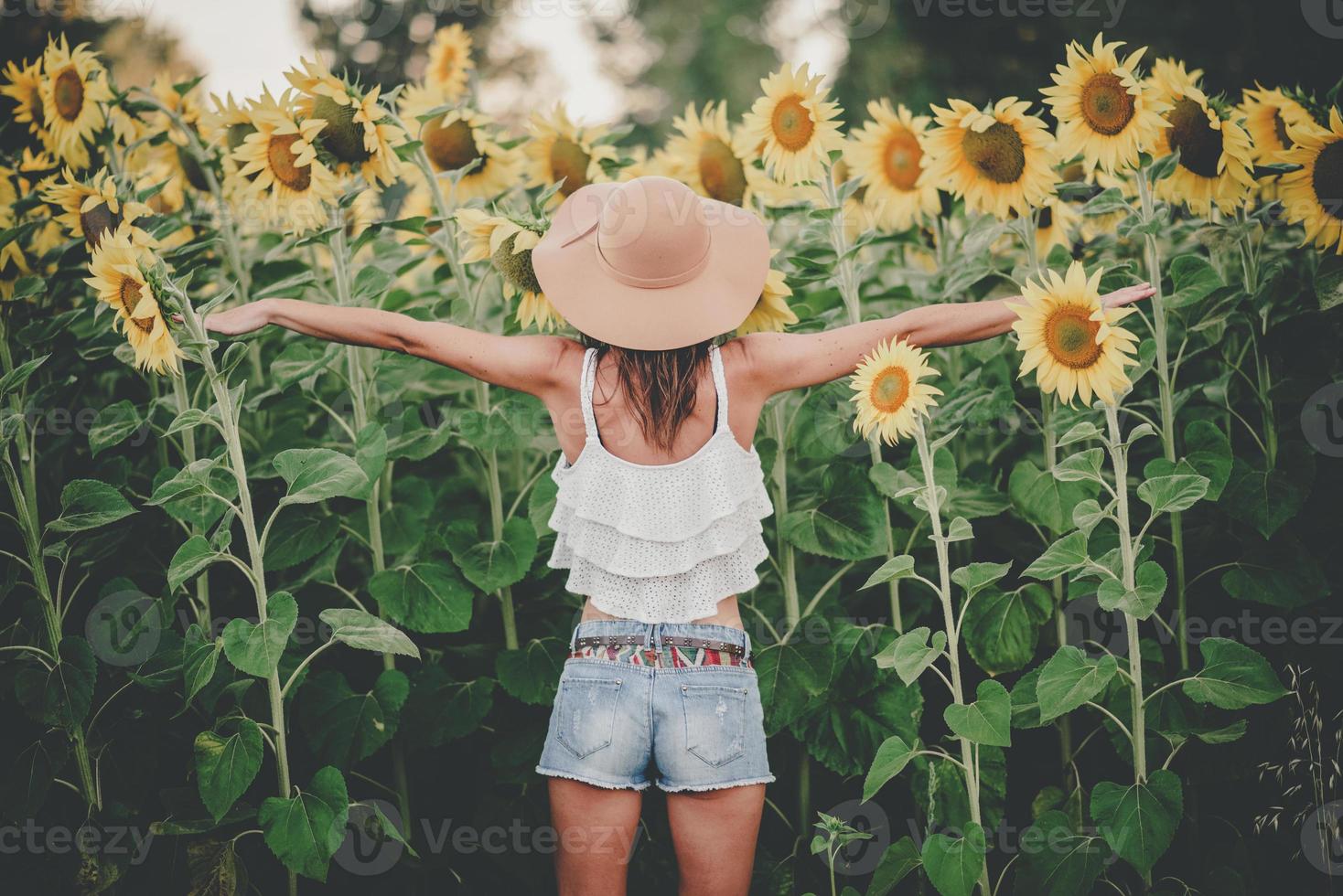 Rückansicht der jungen Frau im Sonnenblumenfeld foto